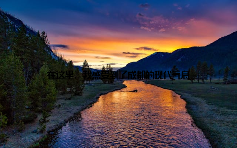 在这里, 我感受到了成都的现代气息