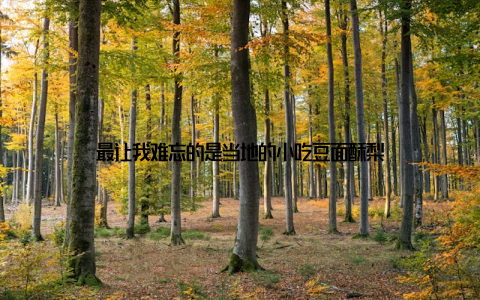 最让我难忘的是当地的小吃豆面酥梨