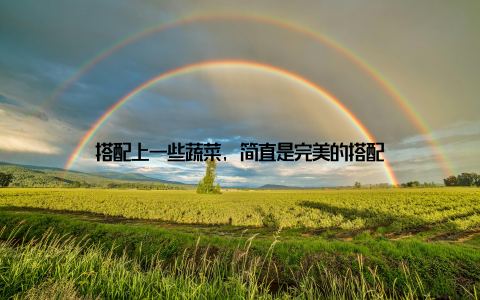 搭配上一些蔬菜, 简直是完美的搭配